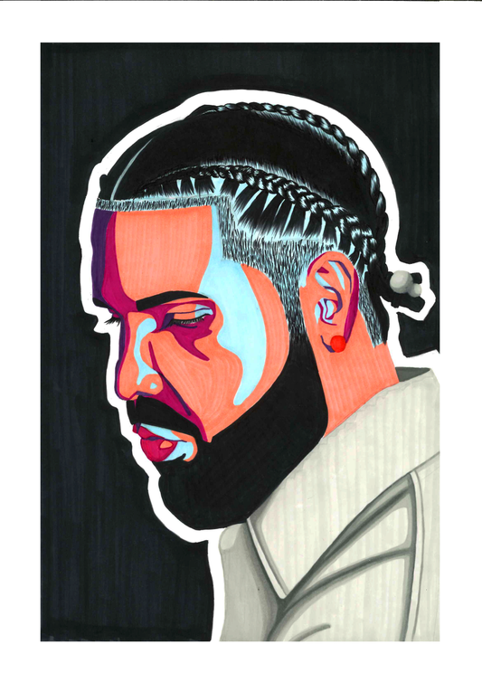 Drake pop art print
